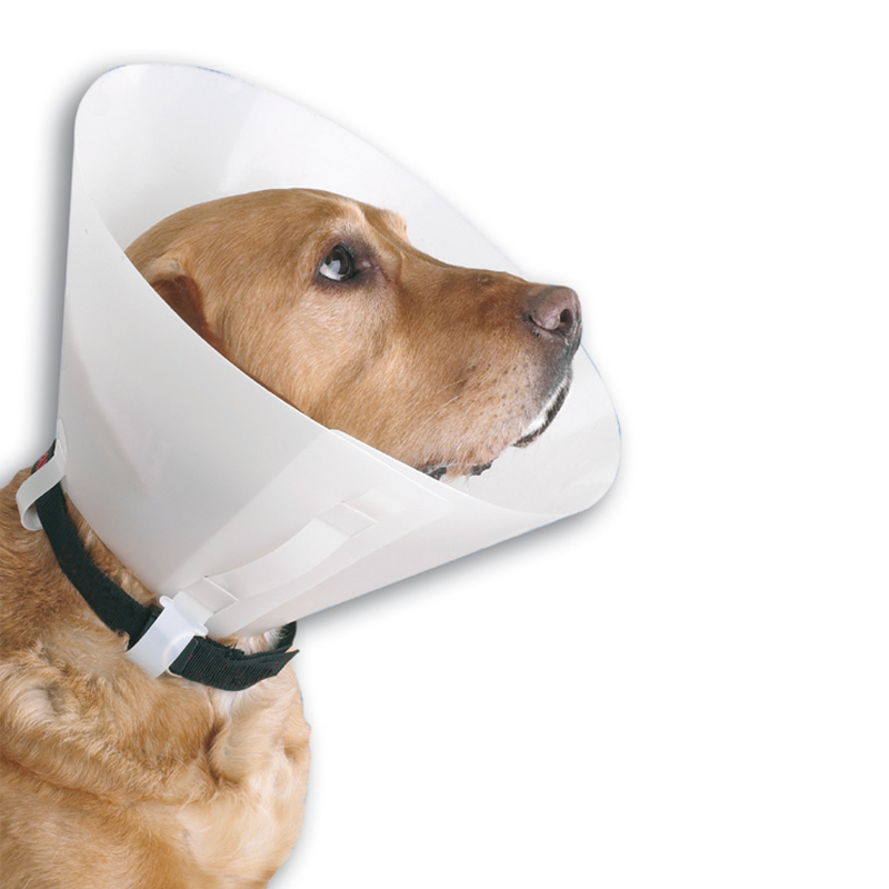 Collar Isabelino Buster Clasic opaco